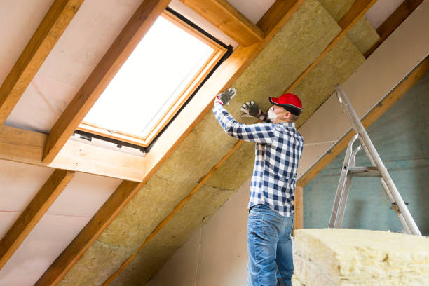 Eco-Friendly or Green Insulation Solutions in Chaparral, NM